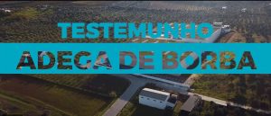 Testemunho Adega Borba